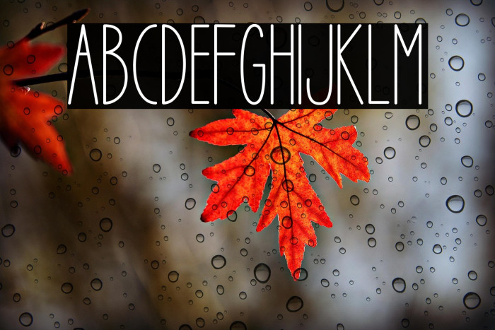 Green Hostel Example 2