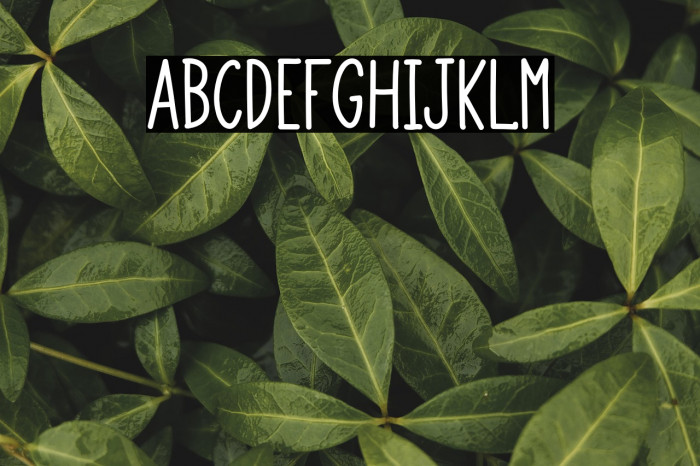 Green House Example 2