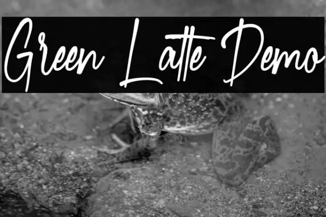Green Latte Demo फ़ॉन्ट examples