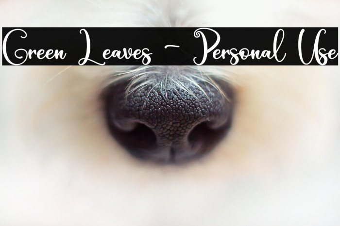 Green Leaves - Personal Use Example 2