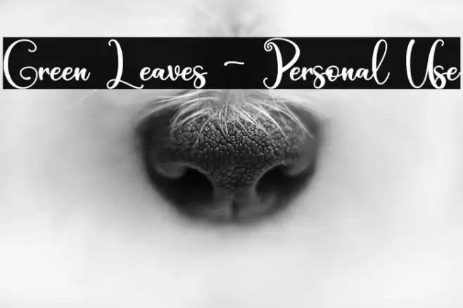 Green Leaves - Personal Use Font examples