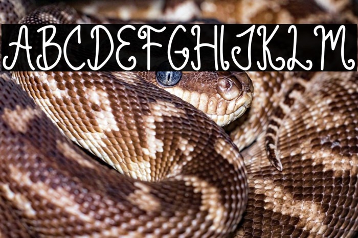 Green Lemonade Example 1