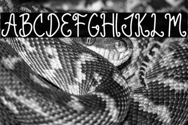 Green Lemonade Polices examples