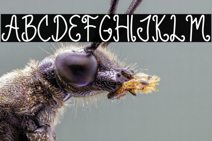 Green Lemonade Example 3