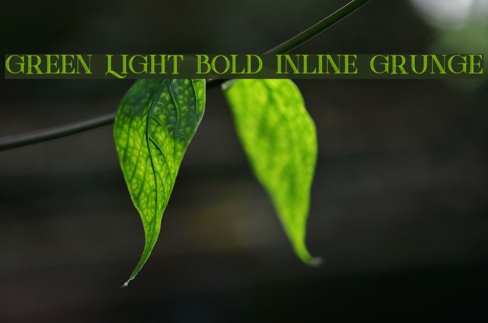 Green Light Bold Inline Grunge Font examples