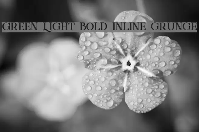 Green Light Bold Inline Grunge Font examples