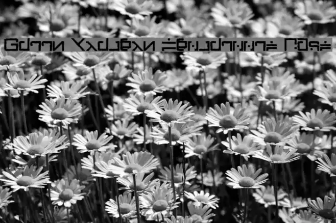 Green Martian Distressed Bold Font examples