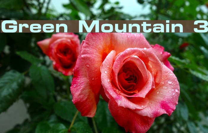 Green Mountain 3 Font examples