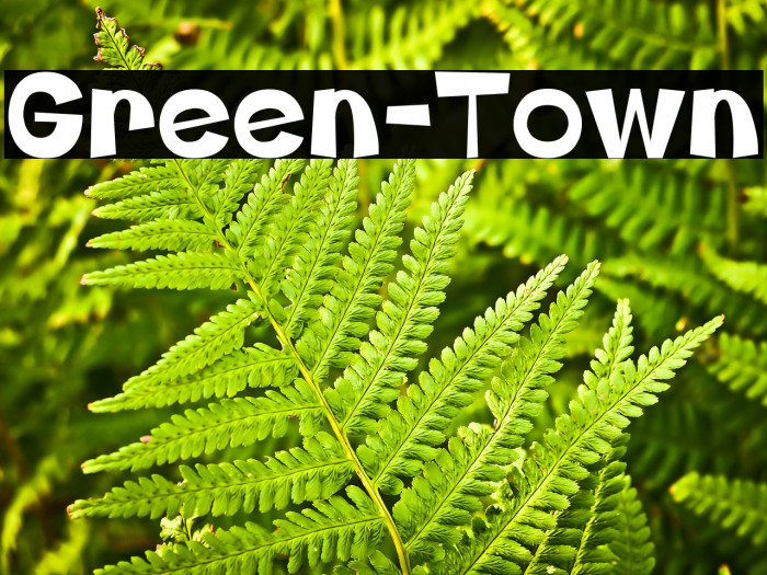 Green-Town Example 1