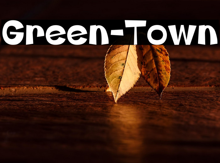 Green-Town Example 3