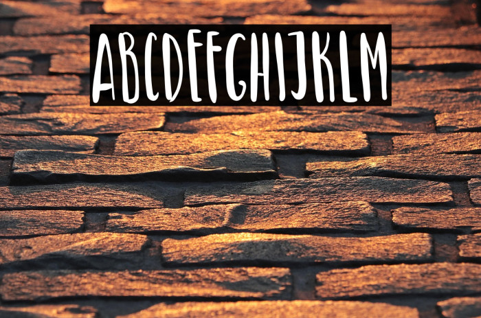 Green Turtle Example 2