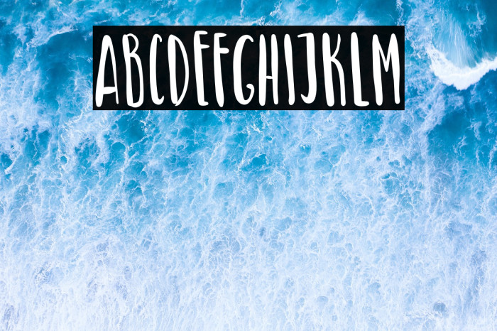 Green Turtle Example 3