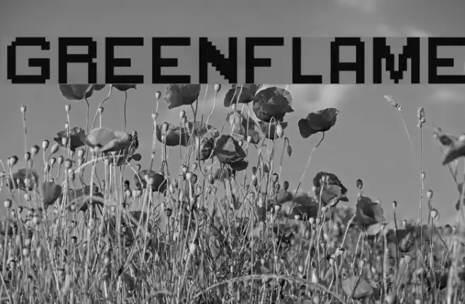 GreenFlame Font examples