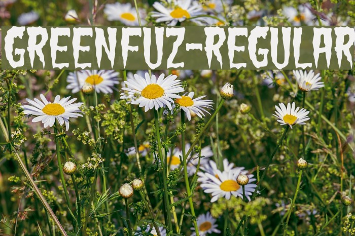 GreenFuz-Regular Шрифта examples