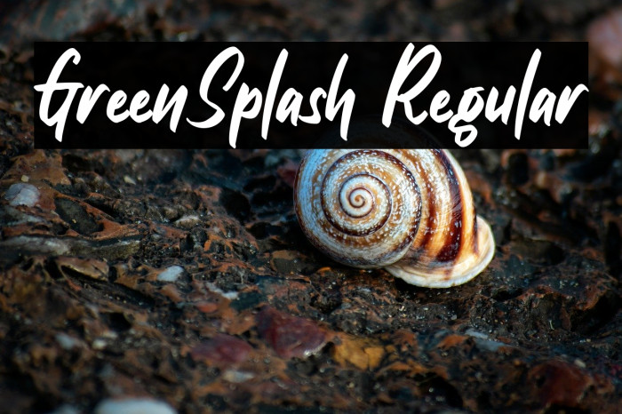 GreenSplash Regular Example 3