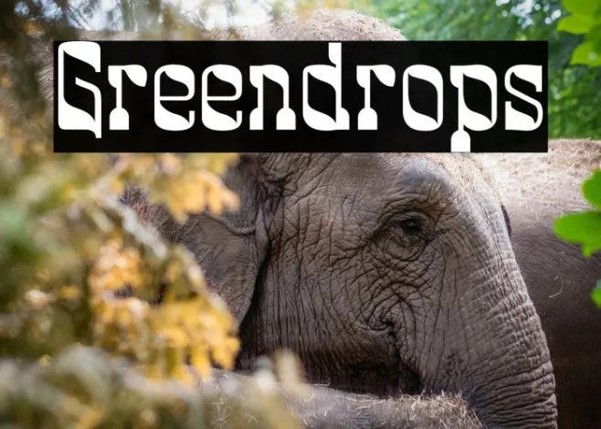 Greendrops Example 2