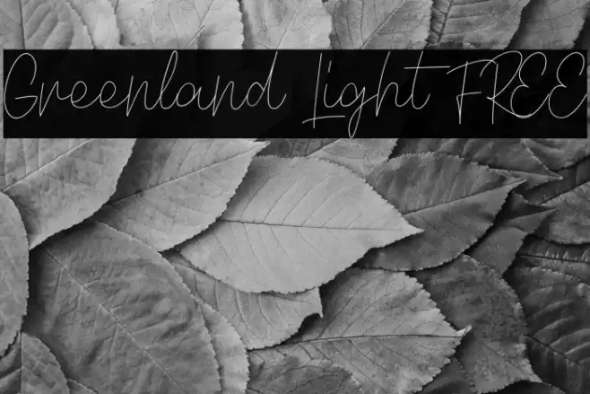 Greenland Light FREE Fonte examples