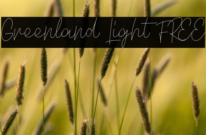 Greenland Light FREE Example 3