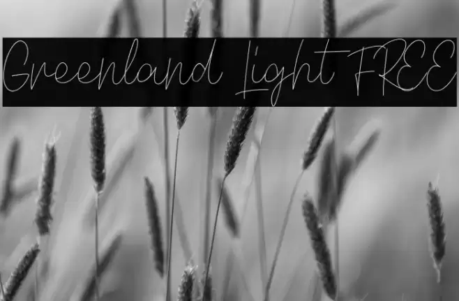Greenland Light FREE Fonte examples