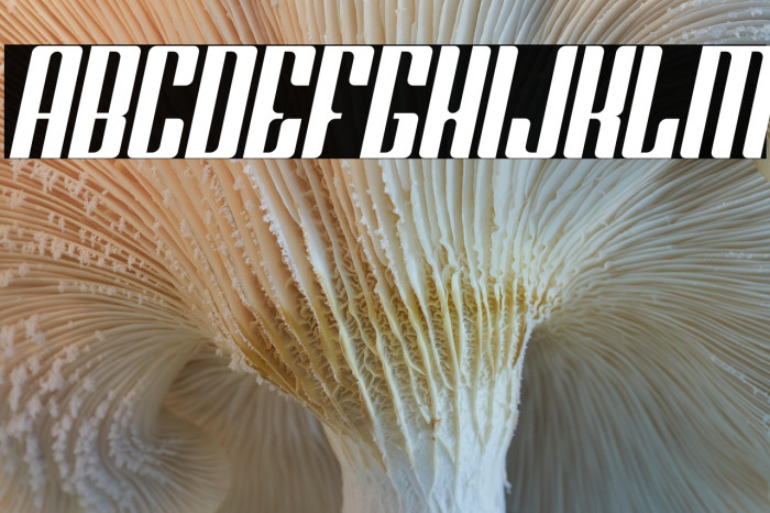 Greenleaf Italic Example 1