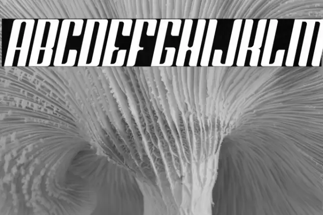 Greenleaf Italic Font examples