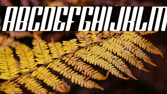 Greenleaf Italic Example 2