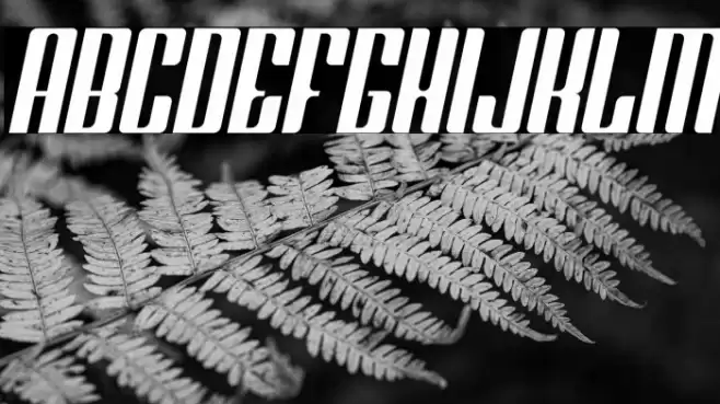 Greenleaf Italic Font examples