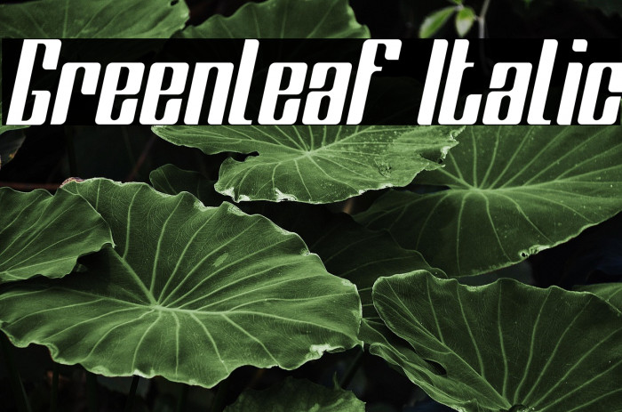 Greenleaf Italic Example 1
