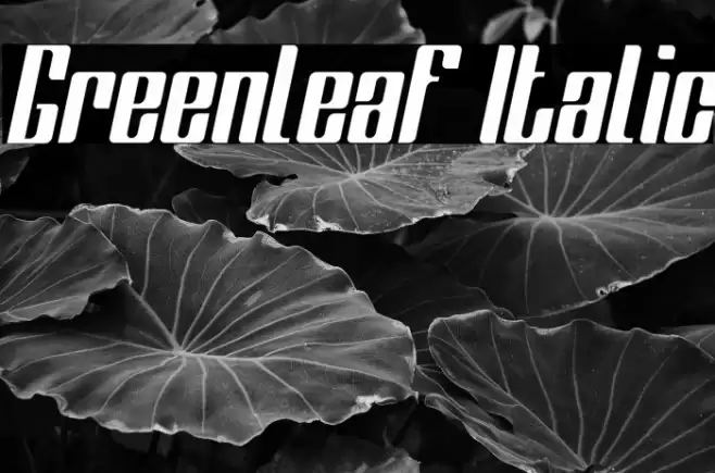 Greenleaf Italic Font examples