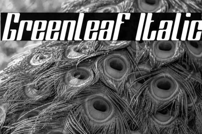 Greenleaf Italic Font examples