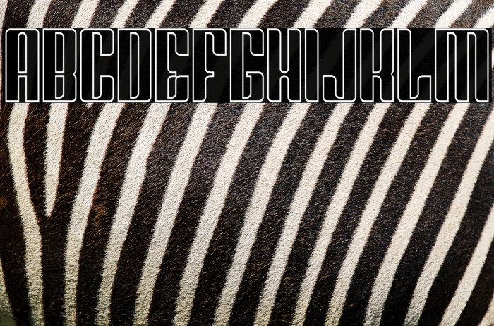 Greenleaf Outline Example 1