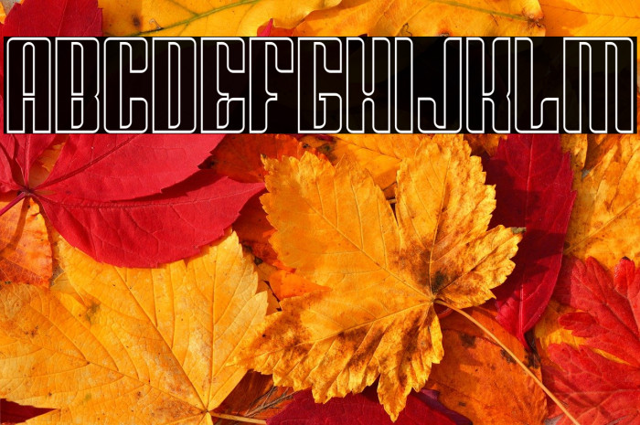 Greenleaf Outline Example 2