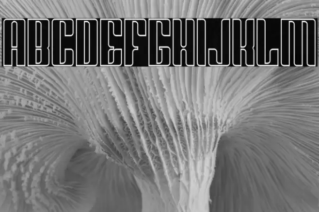 Greenleaf Outline Font examples