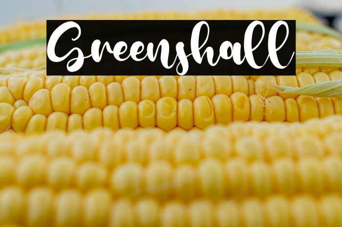 Greenshall Example 3