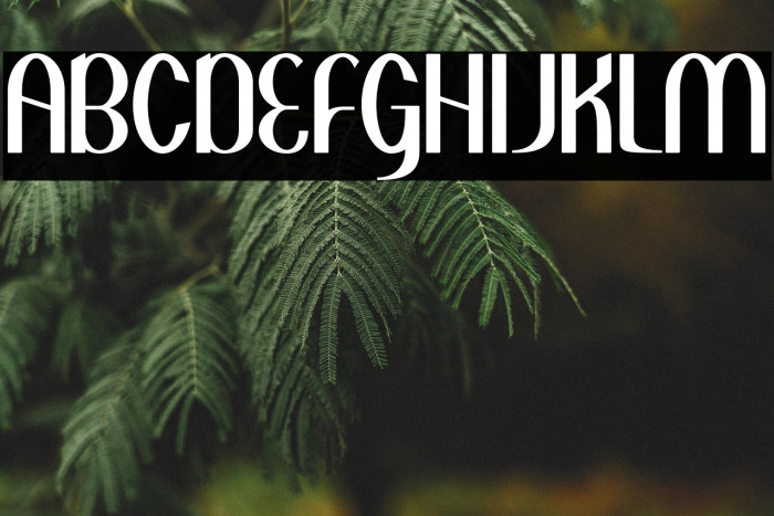 Greenstone Example 1