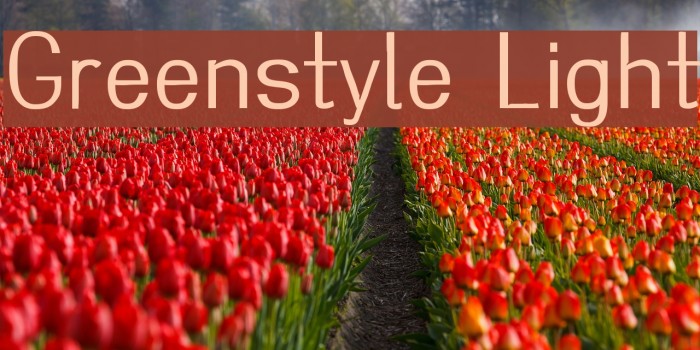 Greenstyle Light Font examples