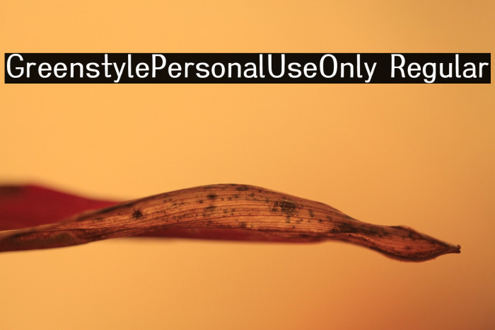 Greenstyle-Personal-Use-Only Regular Example 2