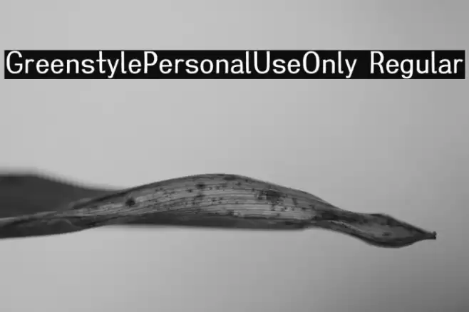 Greenstyle-Personal-Use-Only Regular Font examples