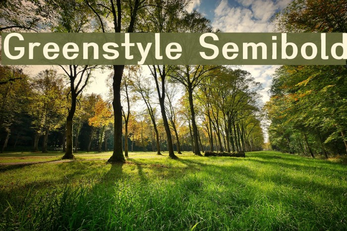 Greenstyle Semibold Font examples