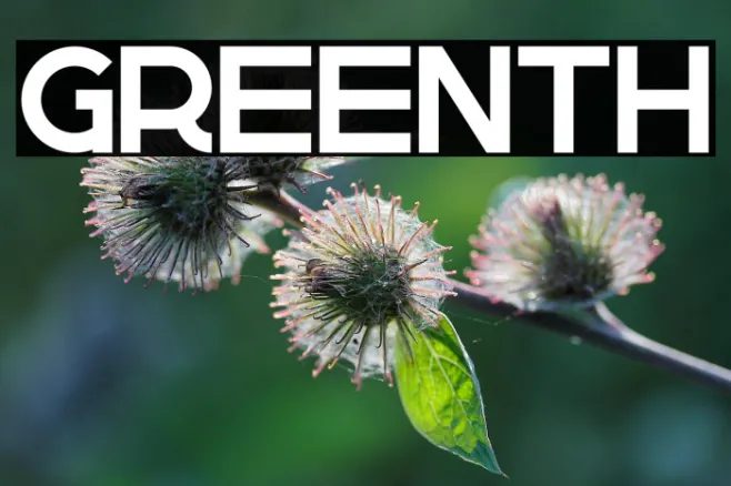 Greenth Example 1
