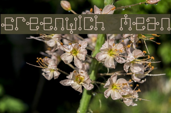Greenwich Mean Font examples