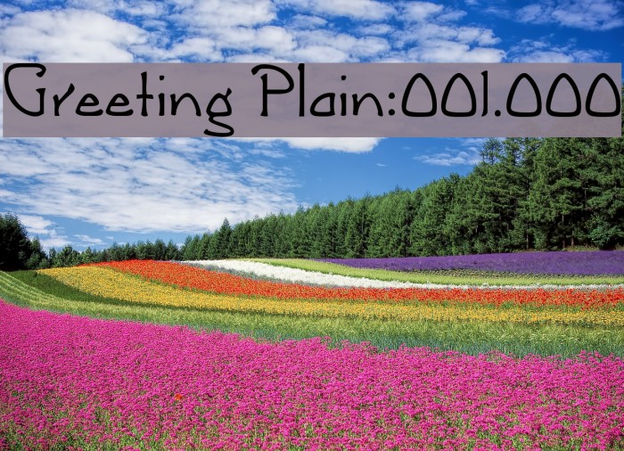 Greeting [Plain]:001.000 Example 2