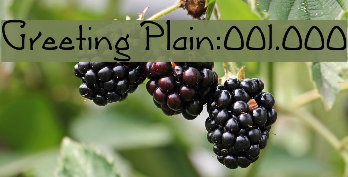 Greeting [Plain]:001.000 Example 3