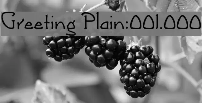 Greeting [Plain]:001.000 Font examples
