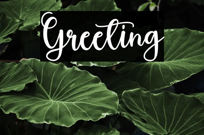 Greeting Example 2