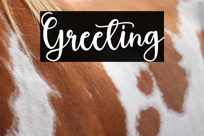 Greeting Example 3