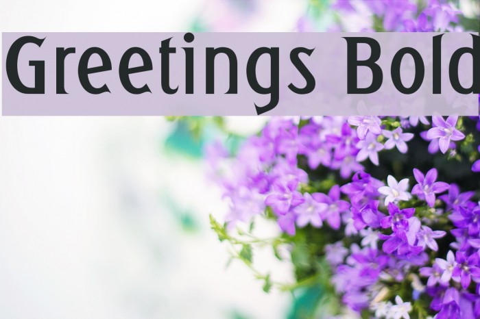 Greetings Bold Font examples