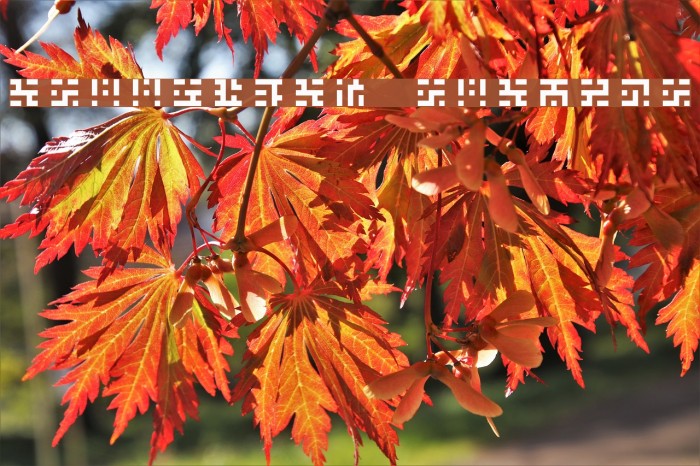 Greetings Regular Example 2