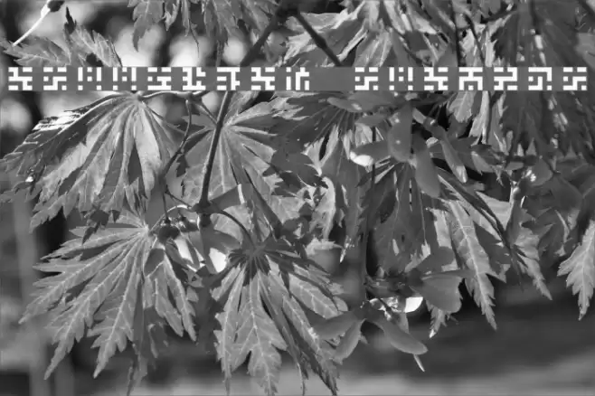 Greetings Regular Font examples