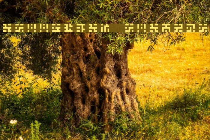 Greetings Regular Example 3